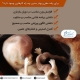 رشد مغزی جنین | مشاوره های بارداری